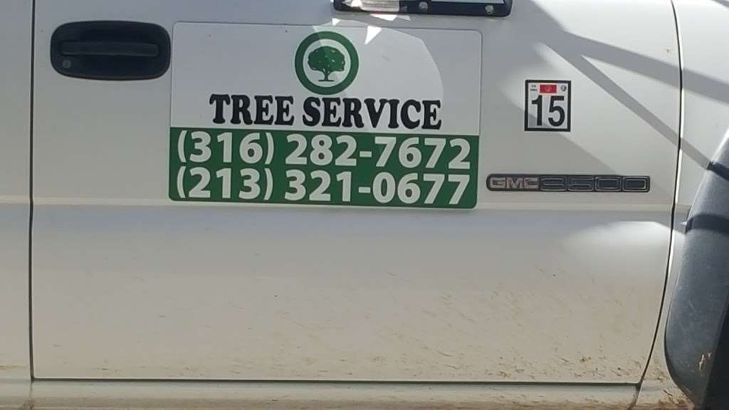 Tree Service | 428 W 109th Pl, Los Angeles, CA 90061, USA | Phone: (213) 321-0677