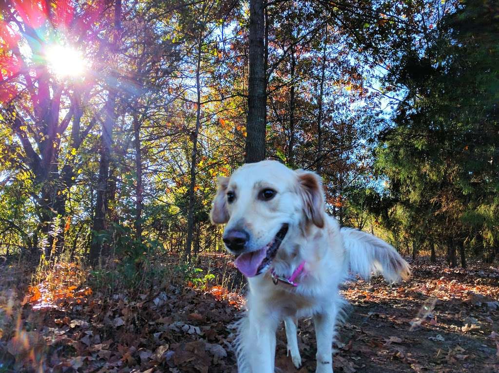 Stoll Off-Leash Dog Park | 12500 W 119th St, Overland Park, KS 66210, USA | Phone: (913) 782-0720