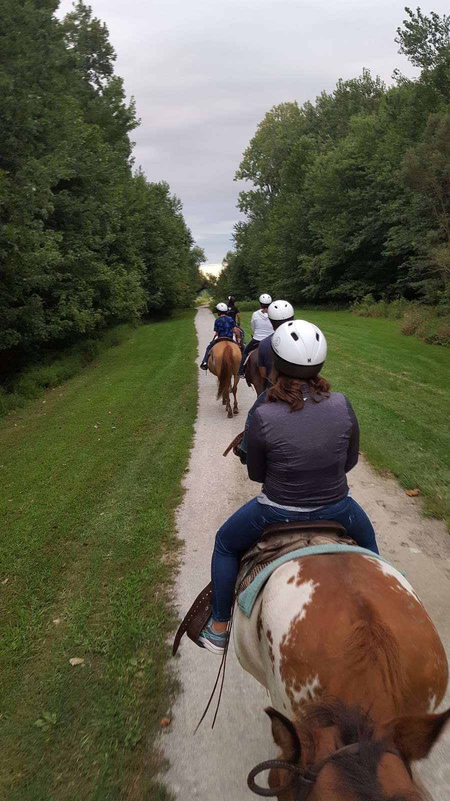 K-Trails Equestrian Adventures | 11949 Koteewi Dr, Noblesville, IN 46060, USA | Phone: (317) 770-8835