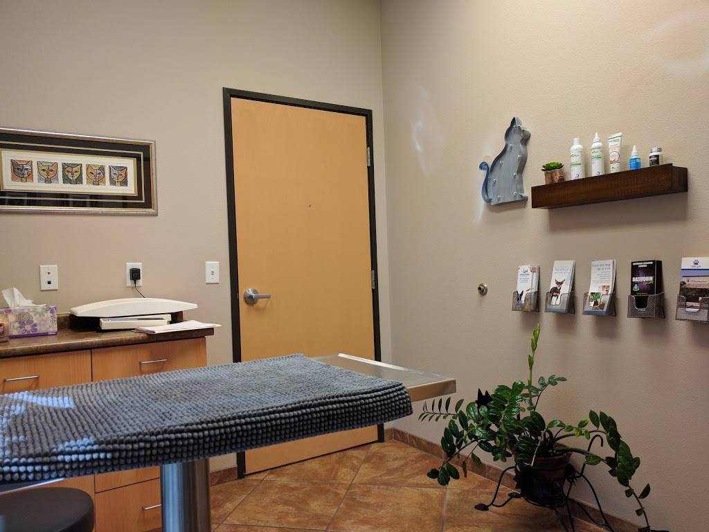 Lifecare Animal Hospital | 4880 S Gilbert Rd, Chandler, AZ 85249, USA | Phone: (480) 895-7800