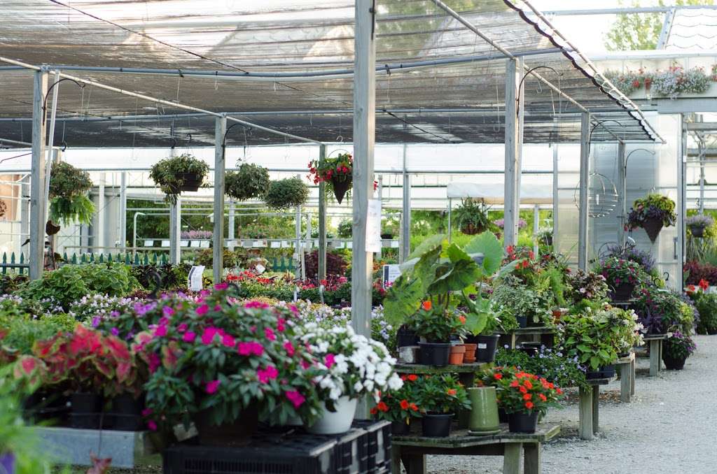 The Growing Place Garden Center | 2000 Montgomery Rd, Aurora, IL 60504, USA | Phone: (630) 820-8088