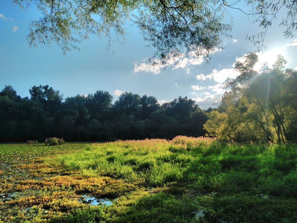 Two Sisters Wetland Preserve Property | Riverside Park, Wayne, NJ 07470, USA