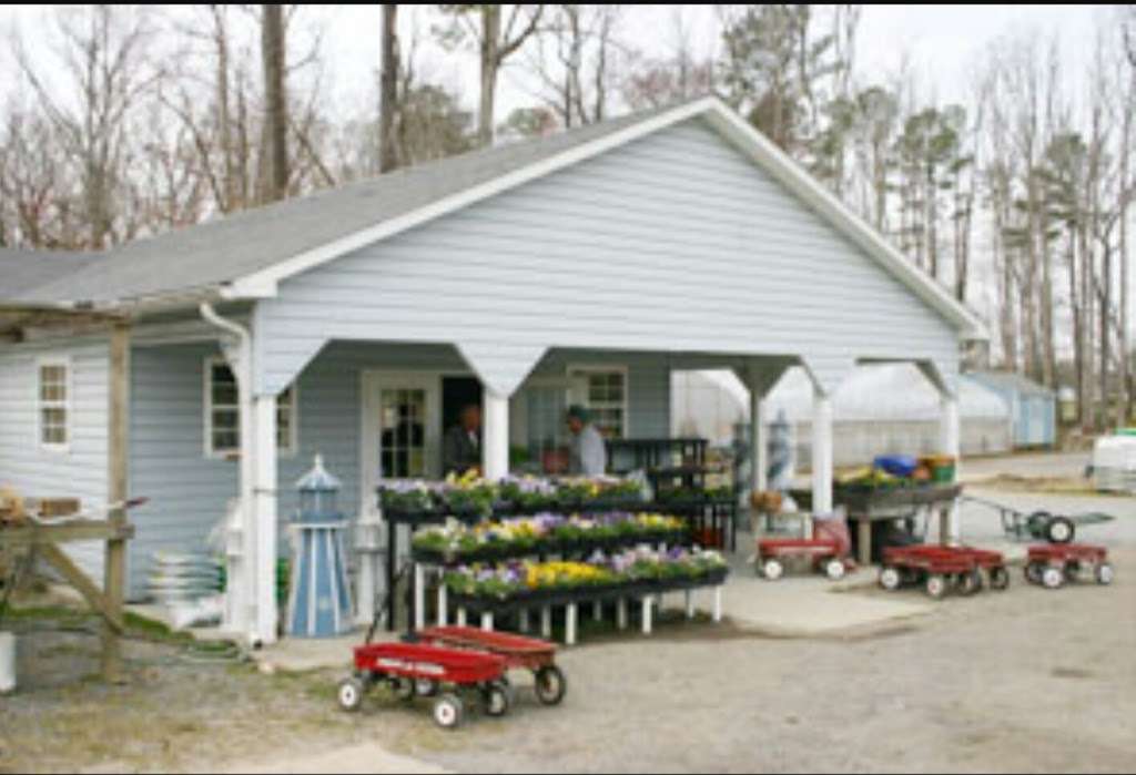 Zimmerman’s Greenhouse & Produce | 28025 Point Lookout Rd, Leonardtown, MD 20650, USA | Phone: (641) 364-7002