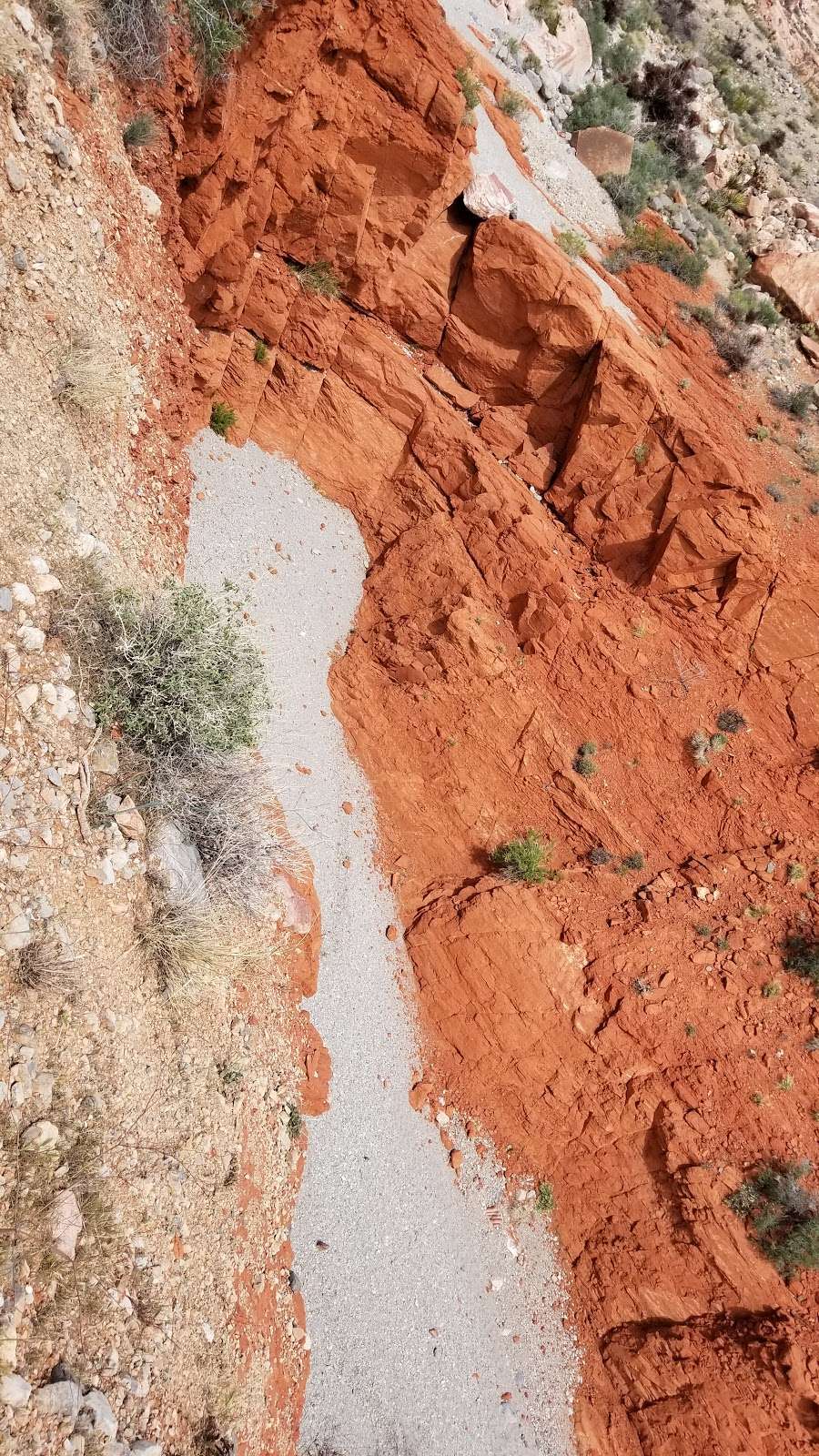 Red Drop Basin | Las Vegas, NV 89161, USA