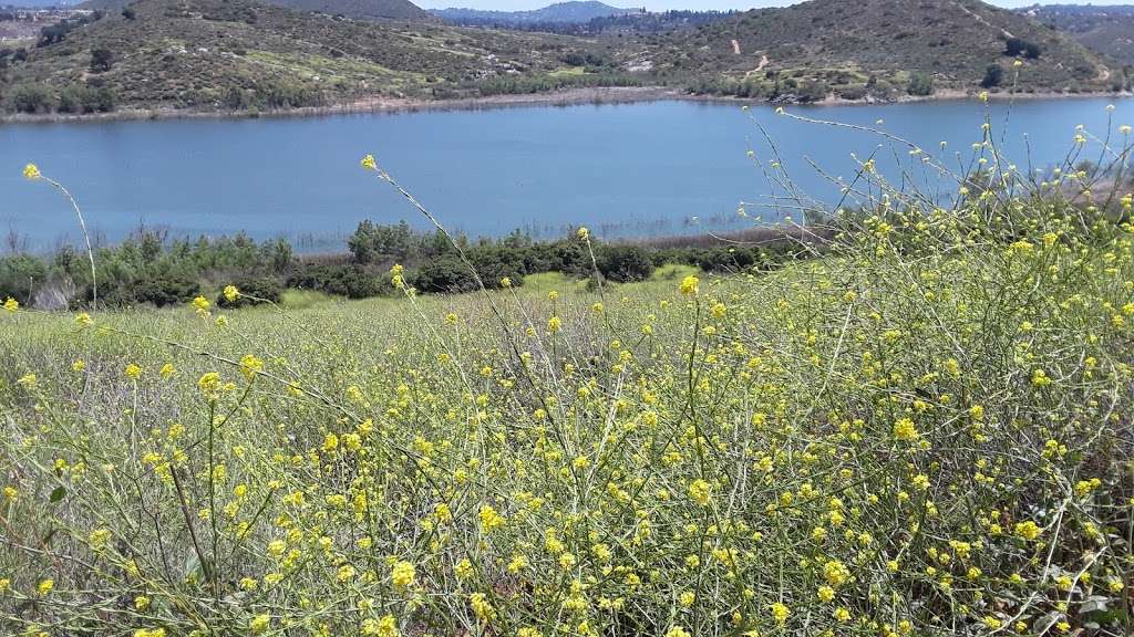 San Dieguito River Park - Santa Fe Valley Trail | 8173 Del Dios Rd, San Diego, CA 92127, USA