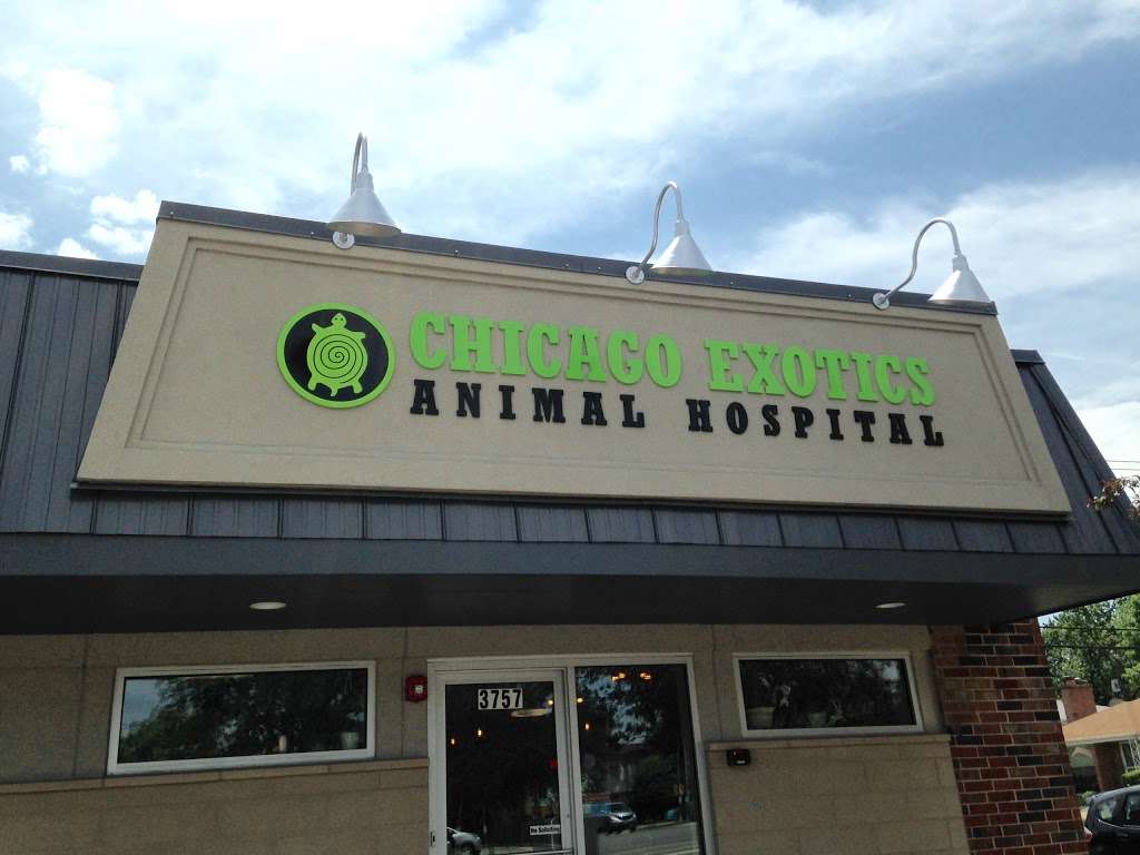 Chicago Exotics Animal Hospital | 3757 Dempster Street, Skokie, IL 60076, USA | Phone: (847) 329-8709