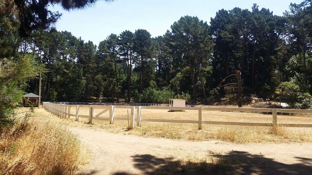 Sequoia Bayview Trail Trailhead | 10800 Skyline Blvd, Oakland, CA 94611 | Phone: (510) 238-3739