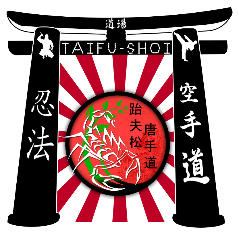 TaiFu Shoi Karate-Do Dojo RT#1 | 9791 Westchase Dr, Tampa, FL 33626, USA | Phone: (813) 468-8885