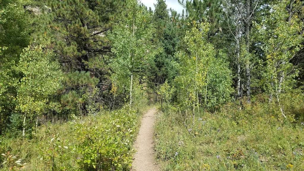 Limbaugh Canyon Trail Head | 557 Rock Ridge Rd, Palmer Lake, CO 80133, USA Limbaugh Canyon Trail Head | 557 Rock Ridge Rd, Palmer Lake, CO 80133, USA