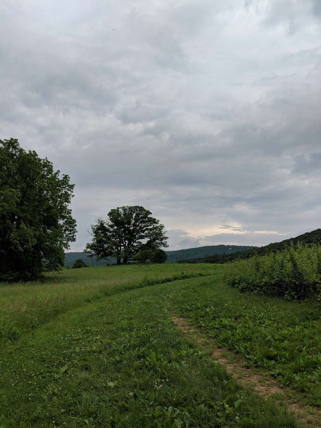 Lost Mountain | Upperville, VA 20184, USA