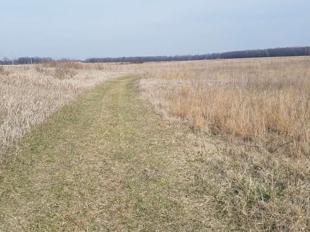 Bartel Grassland Land and Water Reserve | Central Ave & Flossmoor Rd, Tinley Park, IL 60477, USA | Phone: (708) 227-3912