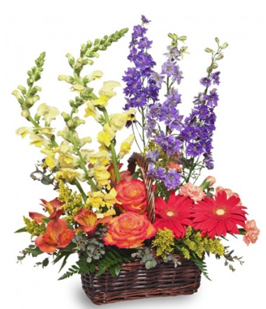 Hanes Florist LLC | 411 E Mill St, Osawatomie, KS 66064, USA | Phone: (913) 755-3107