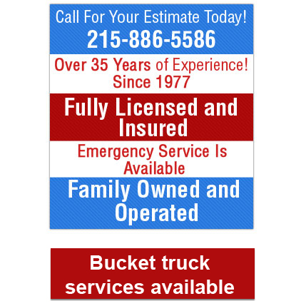 Lous Electric Services | 731 Jackson Ave, Glenside, PA 19038, USA | Phone: (215) 886-5586