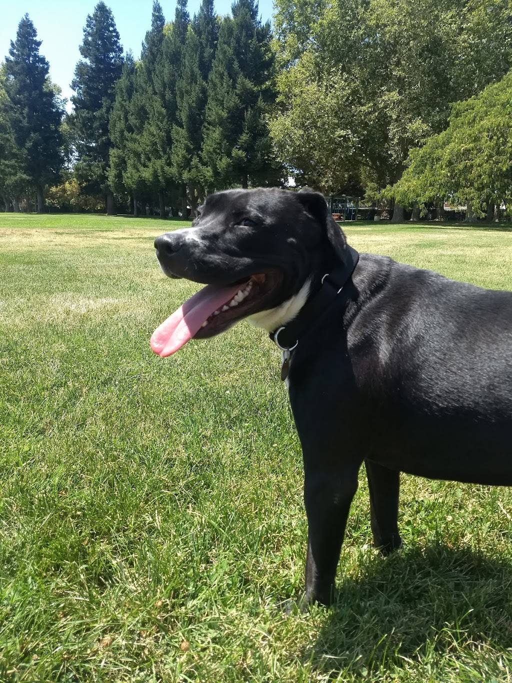 Elkhorn Park | 820 Cummins Way, Broderick, CA 95605, USA | Phone: (916) 617-4620