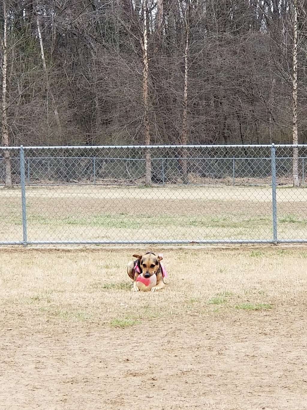 Bark Park | Fort Meade Dog Park, Ernie Pyle St, Fort Meade, MD 20755, USA