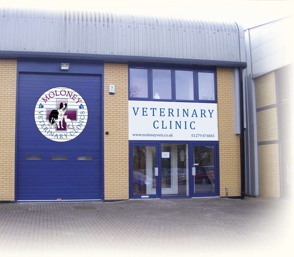 Moloney Veterinary Clinics | Takeley Business Centre, Dunmow Rd, Takeley, Bishops Stortford CM22 6SJ, UK | Phone: 01279 874845