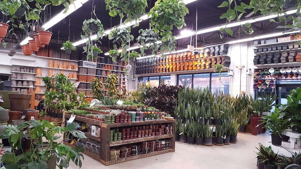 14th Street Garden Center | 793 Jersey Ave, Jersey City, NJ 07310, USA | Phone: (201) 963-1414