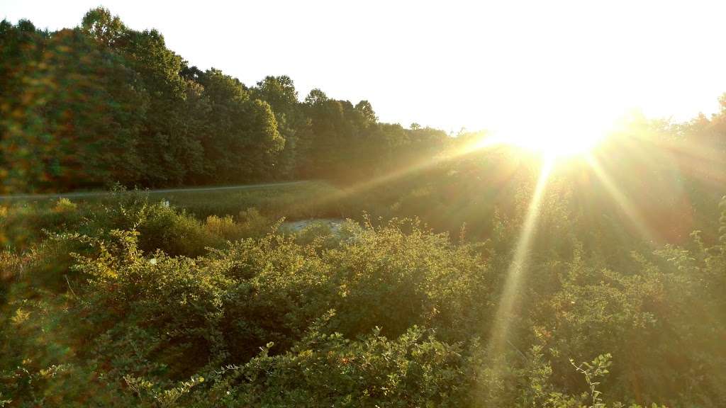 Fairland Regional Park - Greencastle Trail | Greencastle Trail, Burtonsville, MD 20866, USA