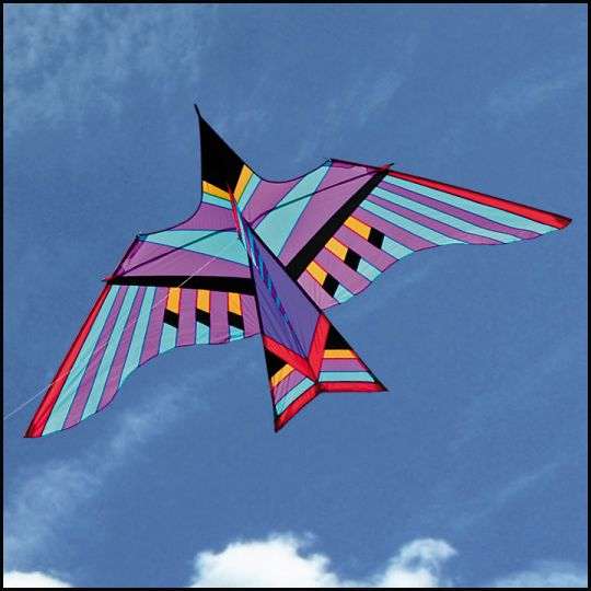 Windward Kites | 1482 River Rd, New Hope, PA 18938 | Phone: (413) 471-9463