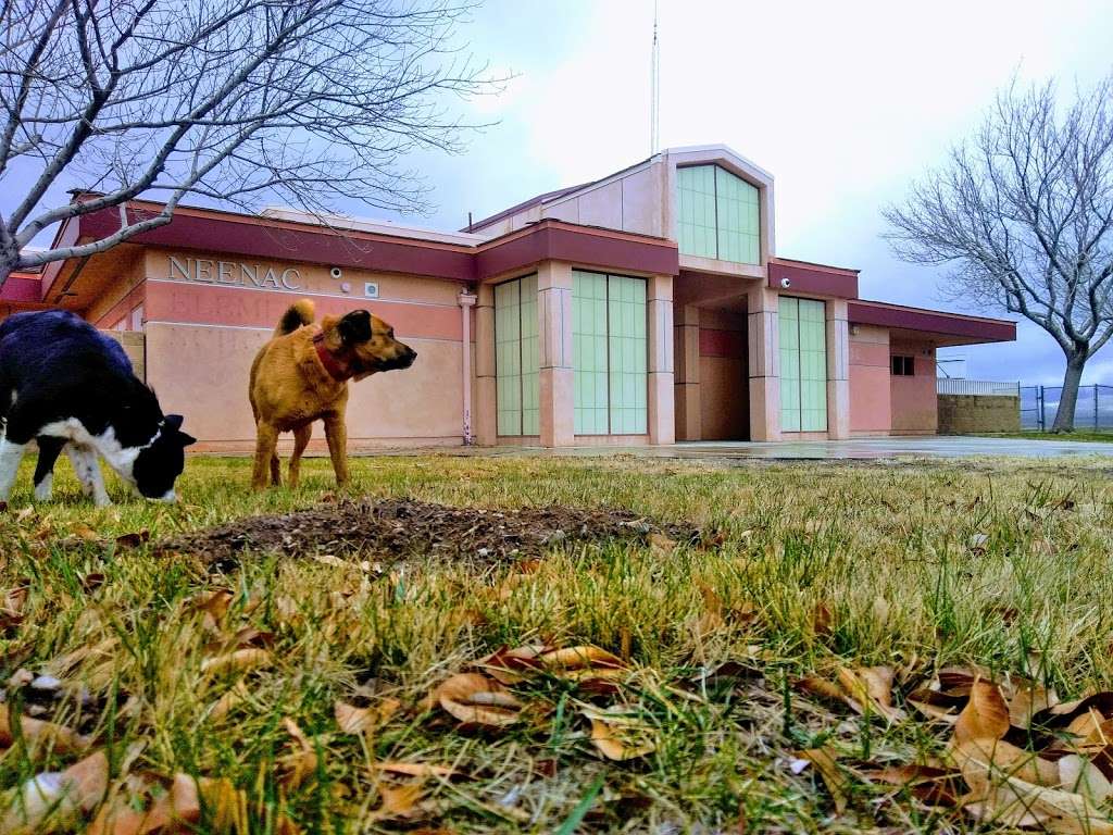 Neenach Elementary School | 49801 270th St W, Lancaster, CA 93536