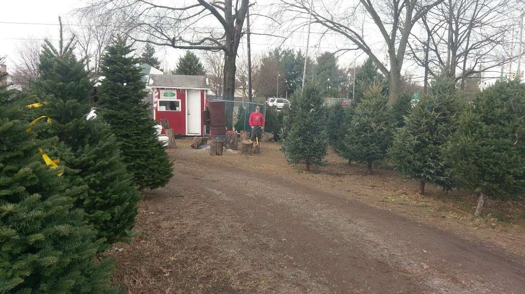 North Star Christmas Trees - Pre-Cut Lot | 11120 Cherry Hill Rd, Beltsville, MD 20705 | Phone: (301) 933-4833