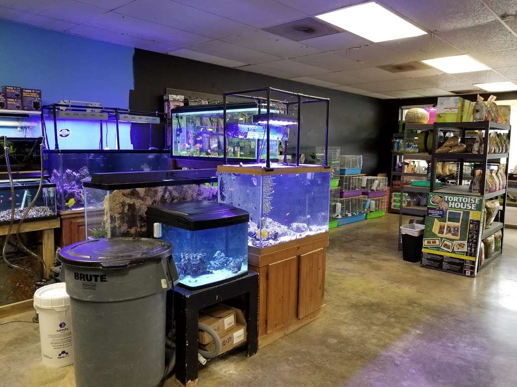 Rainforest Pets | 3466, 2121 W Main St, League City, TX 77573 | Phone: (281) 554-7534