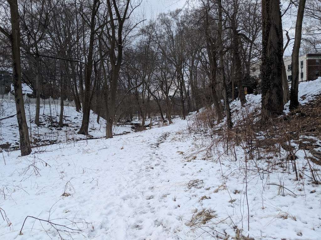 Trail to scout field | 890-862 Gramatan Ave, Mt Vernon, NY 10552, USA