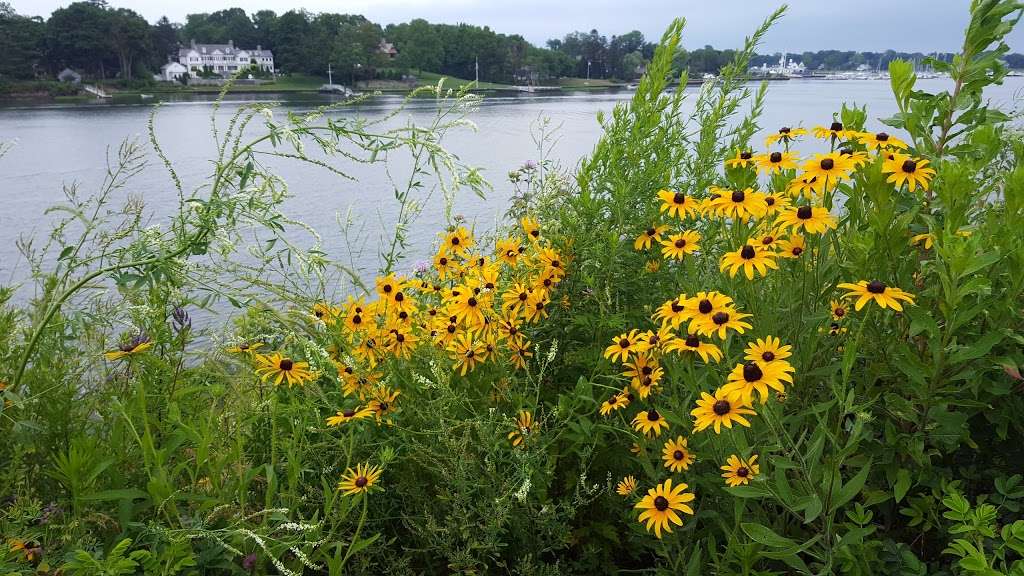 Cos Cob Park | Sound Shore Dr, Cos Cob, CT 06807, USA | Phone: (203) 622-7767