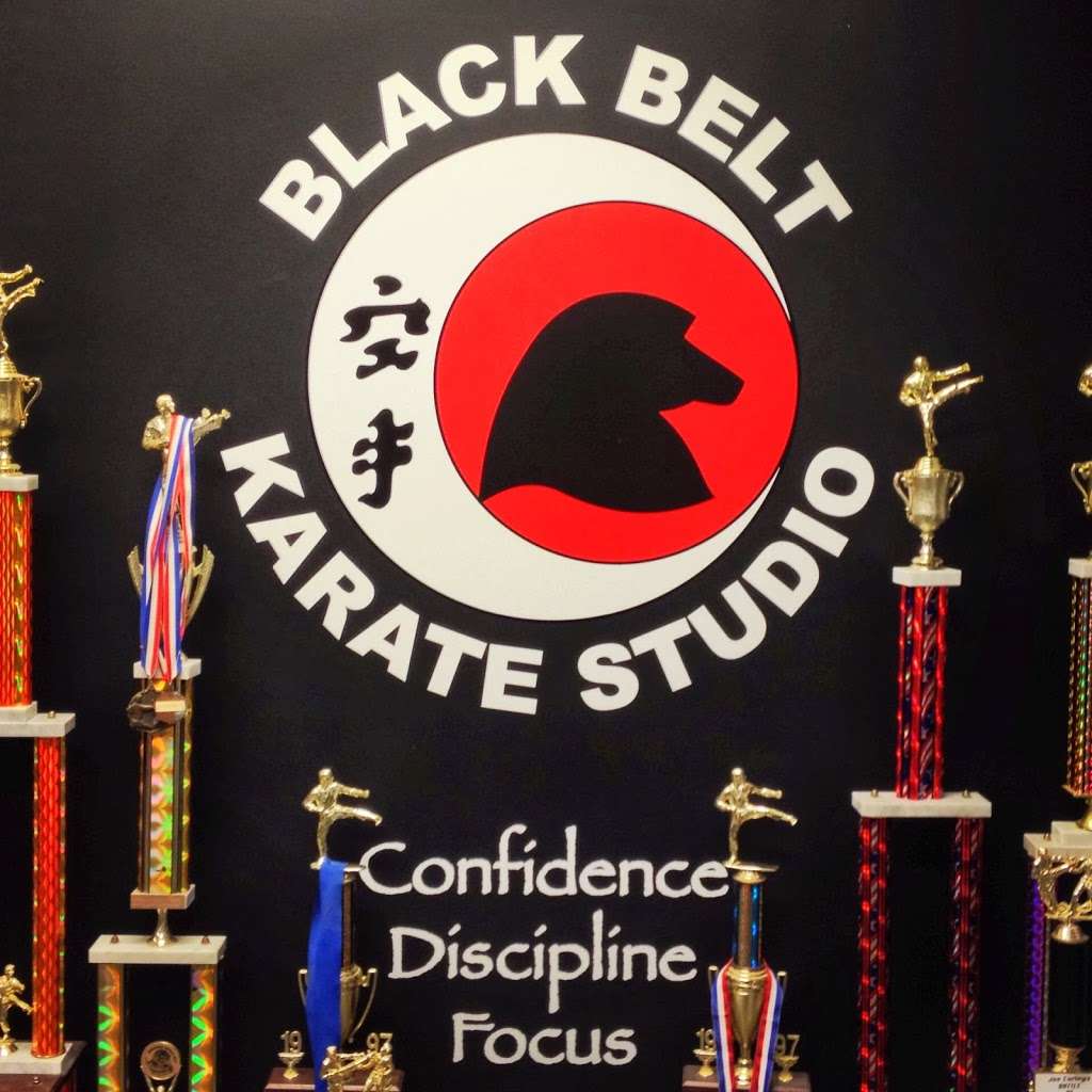 Black Belt Karate Studio of Racine | 5630 Washington Ave, Racine, WI 53406, USA | Phone: (262) 554-7431