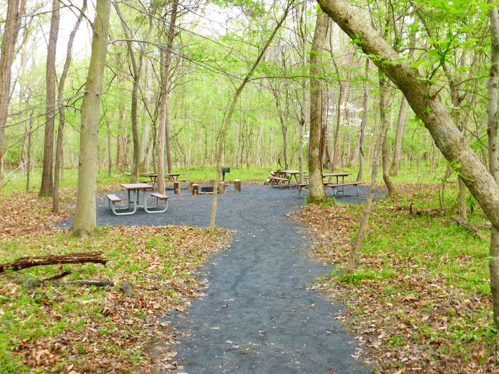 Marsden Tract Group Campground | Potomac, MD 20854, USA