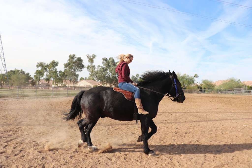 Grandons Equestrian Center | 9644 N 120th St, Scottsdale, AZ 85259, USA | Phone: (480) 860-8986