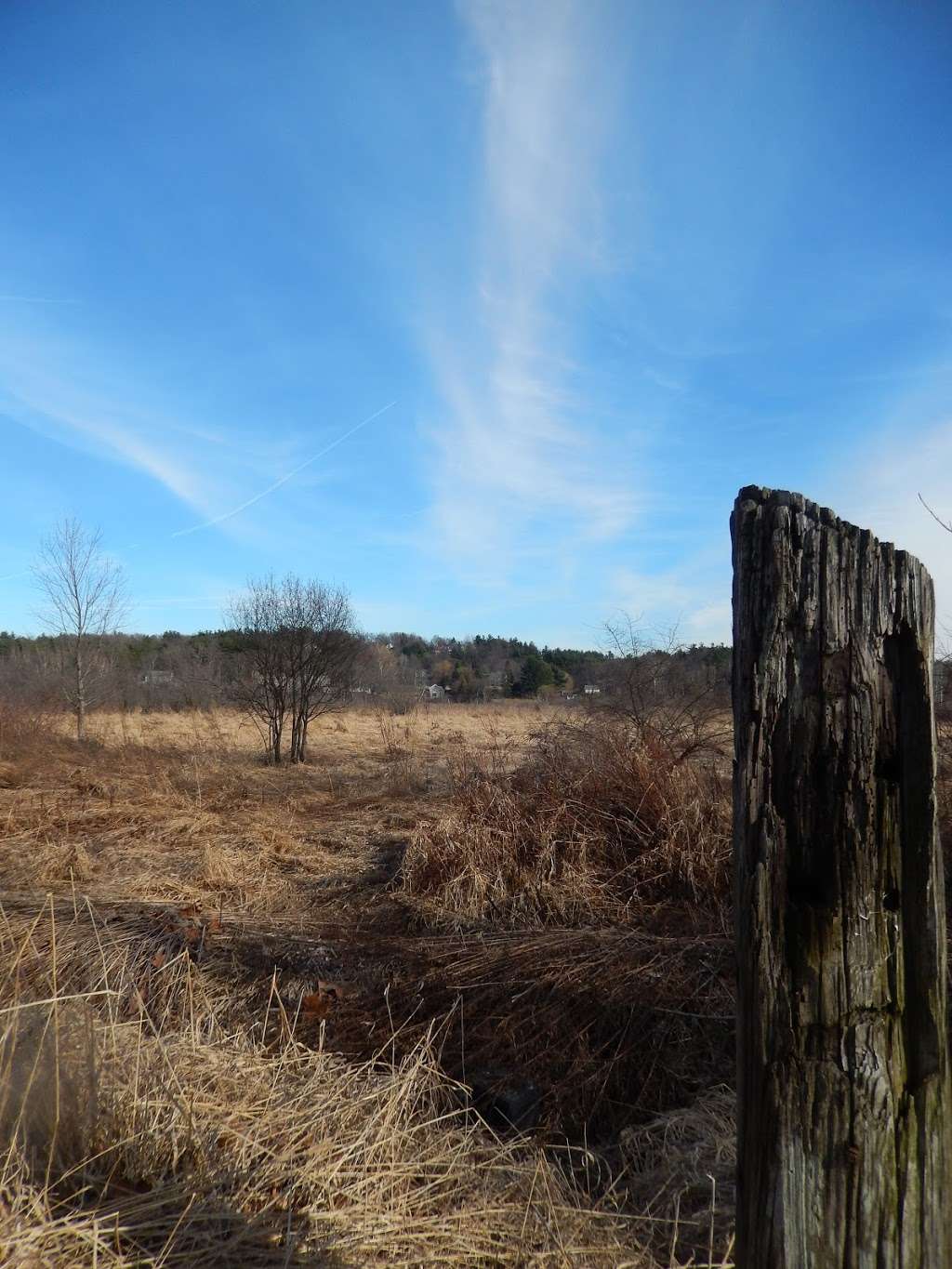 Bolton Flats Wildlife Management Area | Lancaster, MA 01523 | Phone: (508) 389-6360