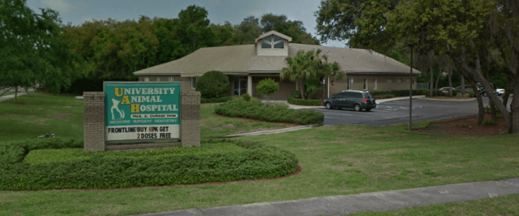 University Animal Hospital | 9357 University Blvd, Orlando, FL 32817, USA | Phone: (407) 654-0049