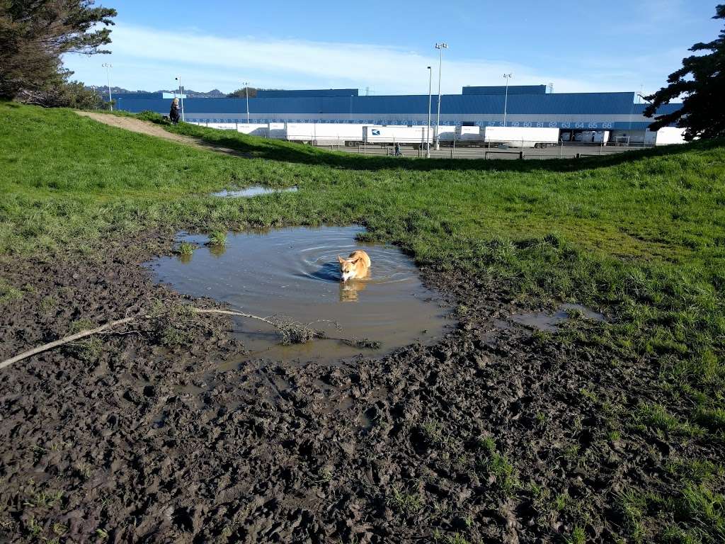 Mudpuppys at Point Isabel Dog Park | 1 Isabel St, Richmond, CA 94804 | Phone: (888) 505-2998