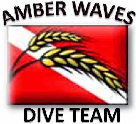 Amber Waves Diving Company and WICHITAcprTRAINING Center | 307 S Greenwich Rd, Wichita, KS 67207, USA | Phone: (316) 775-6688