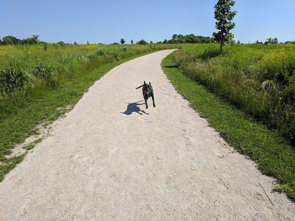 Hawk Hollow Dog Park | 1099 Bittersweet Dr, Bartlett, IL 60103, USA