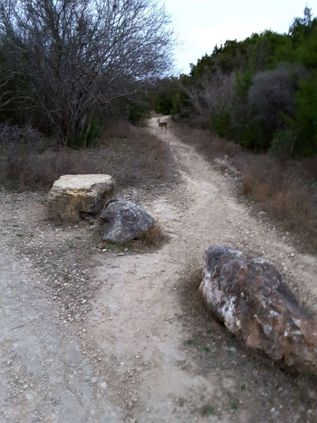 Library Loop Trail System | Library Loop, San Antonio, TX 78247, USA