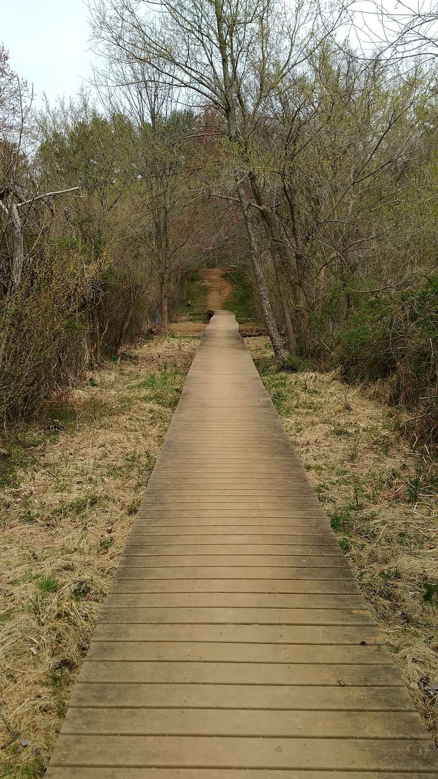 AT-Front Royal Junction | Appalachian Trail, Front Royal, VA 22630, USA