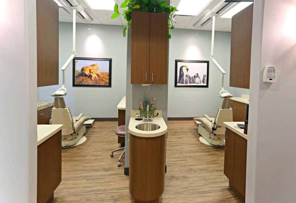 Canyon Ridge Pediatric Dentistry | 19551 Hess Rd #110, Parker, CO 80134, USA | Phone: (303) 390-5183