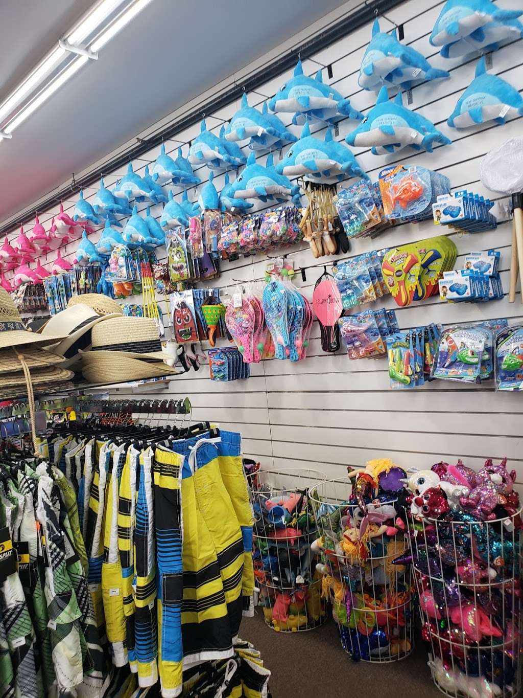 Alvins Island Tropical Department Store | 826 E 3rd Ave, New Smyrna Beach, FL 32169, USA | Phone: (386) 424-6989