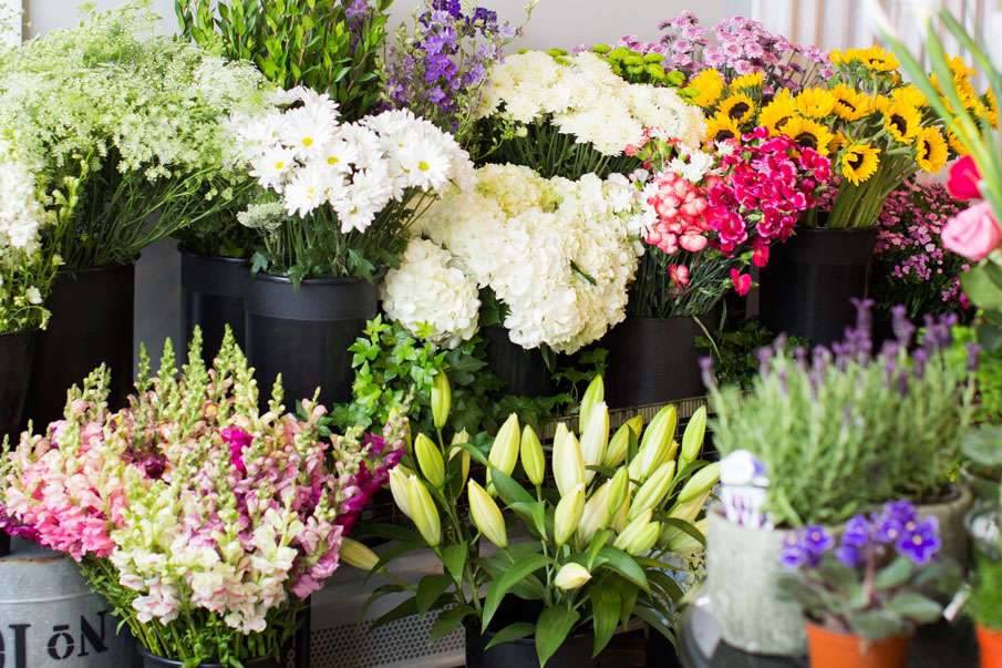 Post Road Flowers | 310 Boston Post Rd, Wayland, MA 01778, USA | Phone: (508) 980-5377