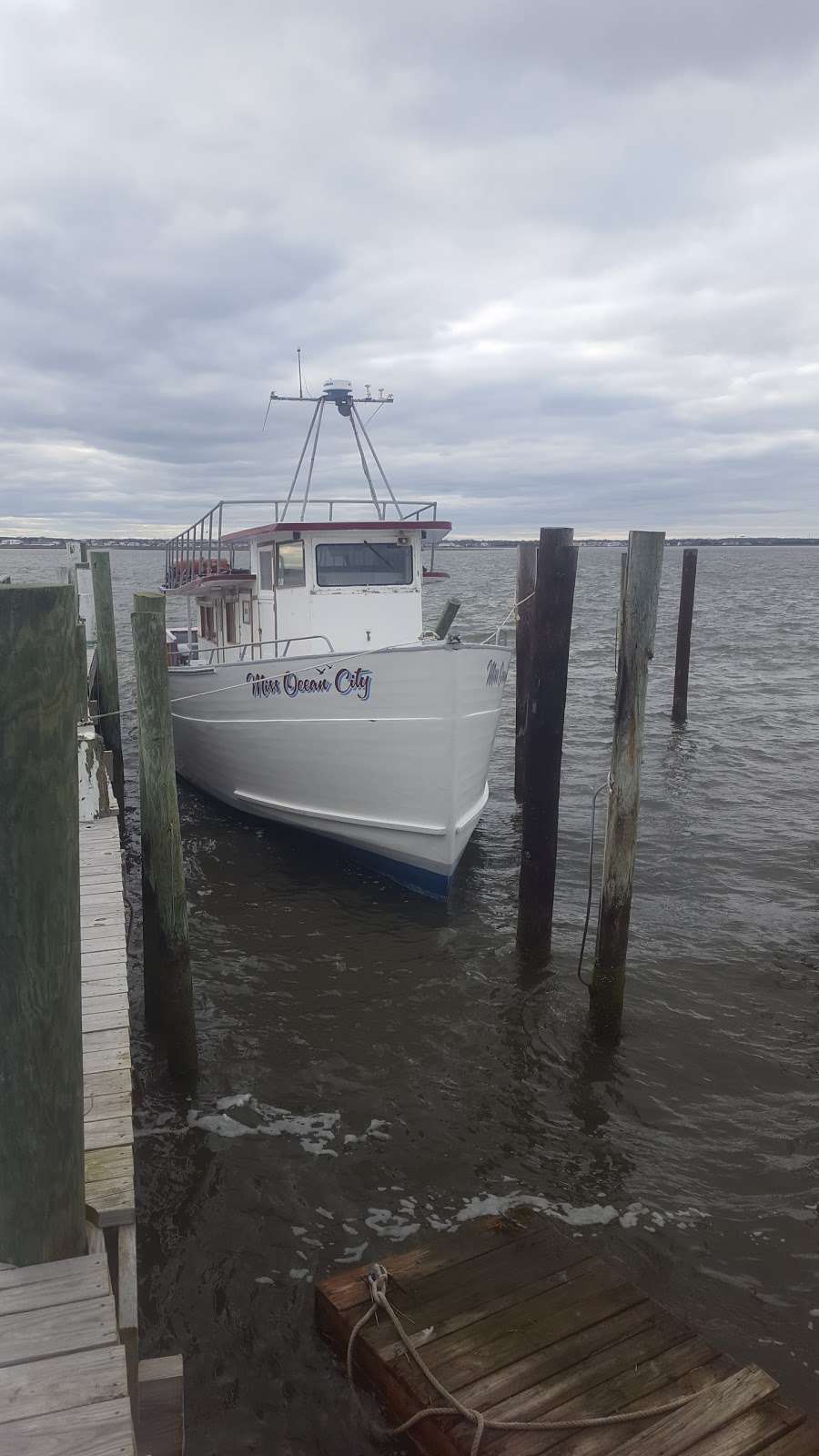 Ocean City Fishing And Cruising Fleet | 228 Bay Ave, Ocean City, NJ 08226, USA | Phone: (609) 391-6446