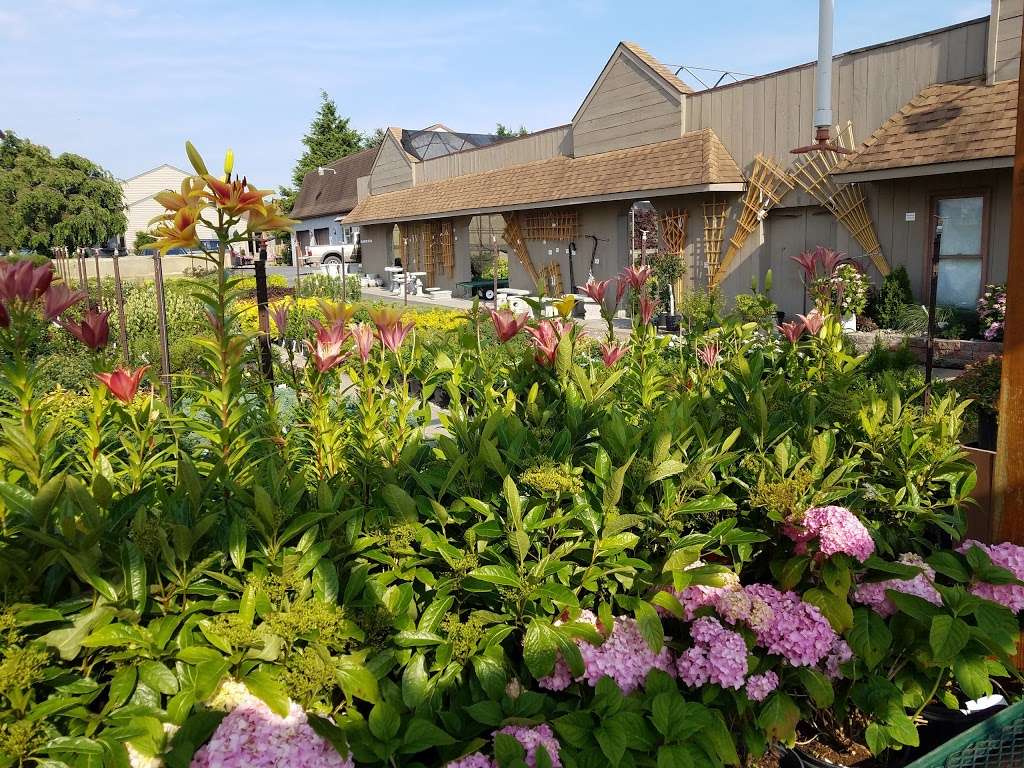 Sauder's Nursery 1210 E Earl Rd, East Earl, PA 17519 Hours