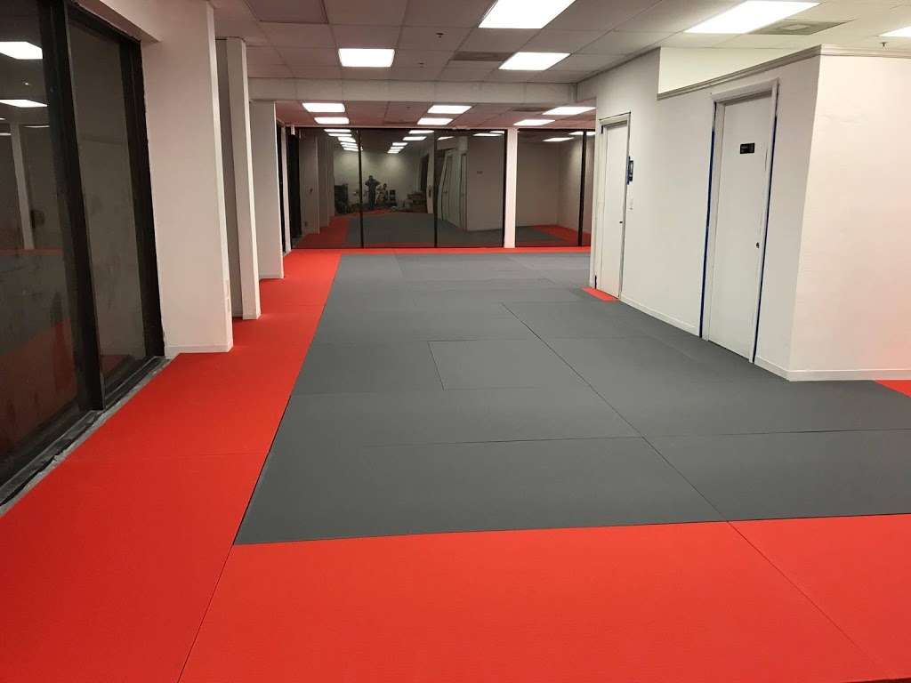 L.I. Ninjutsu Centers Sakura Dojo Florida | 1301 W Boynton Beach Blvd Suite 11, Boynton Beach, FL 33426 | Phone: (561) 720-4110