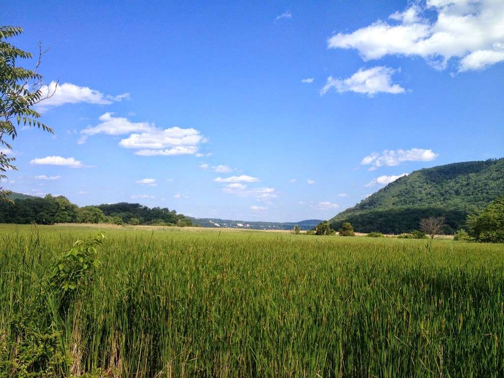 Iona Island Component Hudson River National Estuarine Research R | 259 Norrie Point Way, Tomkins Cove, NY 10986, USA | Phone: (845) 889-4745