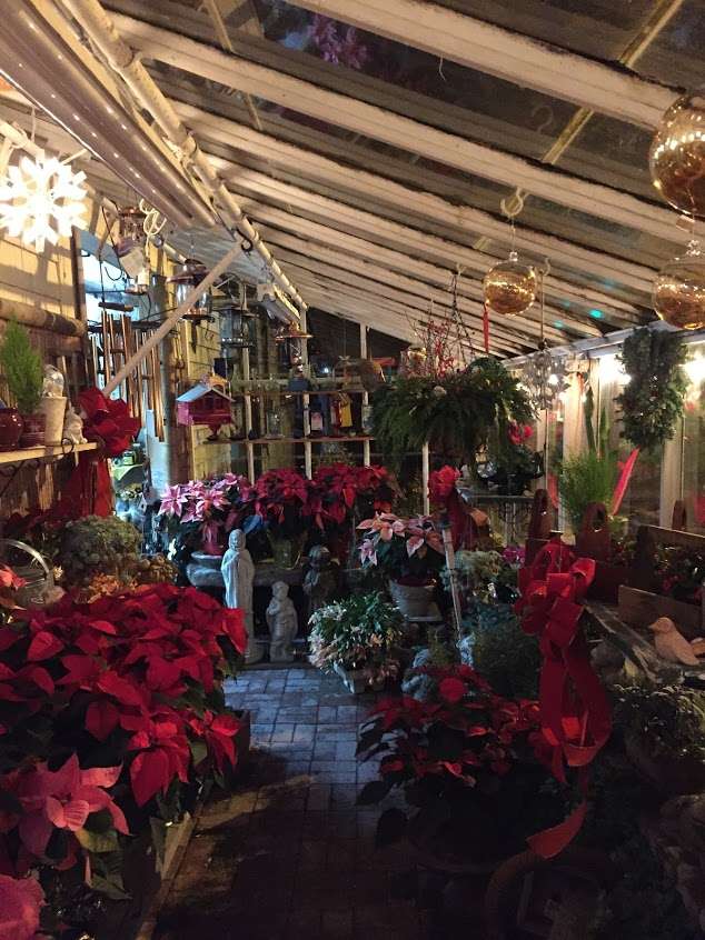 Crystal Lake Garden Shop | 252 Summer St, Plymouth, MA 02360 | Phone: (508) 746-4439