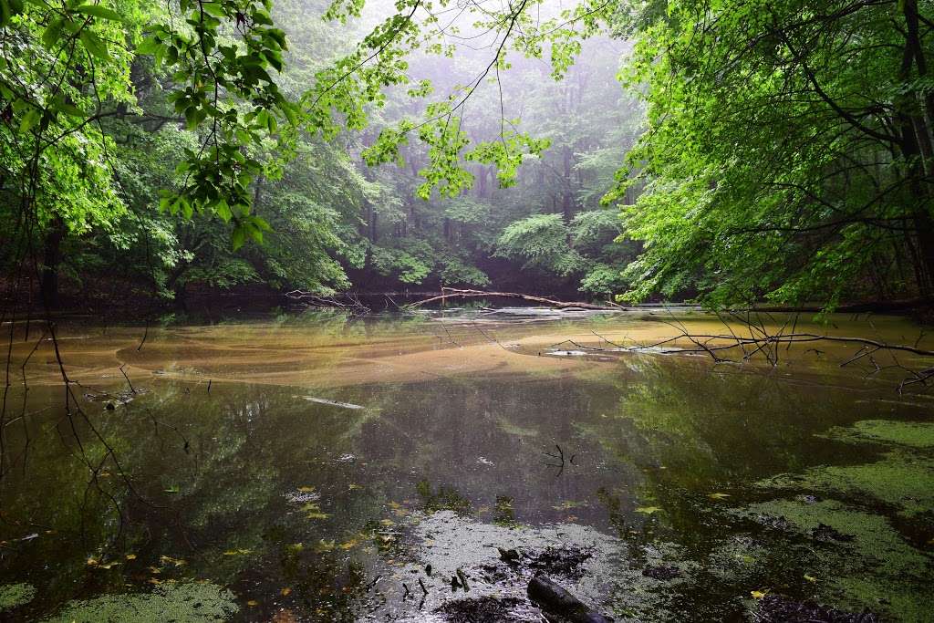 High Rock Park | 200 Nevada Ave, Staten Island, NY 10314, USA | Phone: (718) 351-3450
