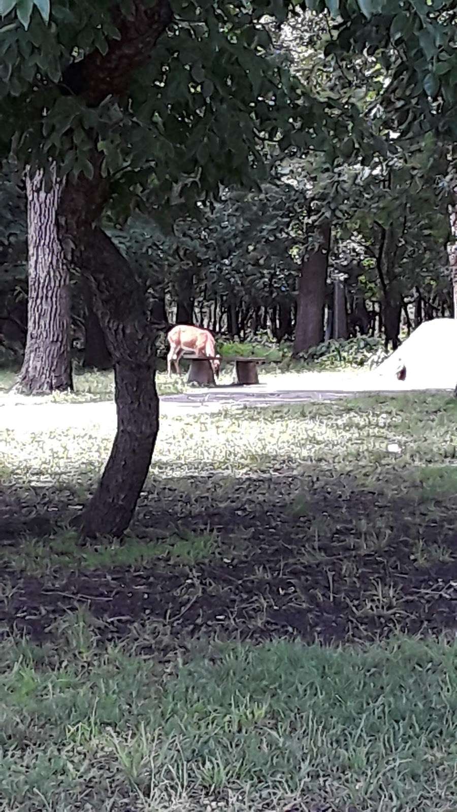 Mcauliffe Michael P | 5515 N East River Rd, Chicago, IL 60656, USA | Phone: (773) 444-0611