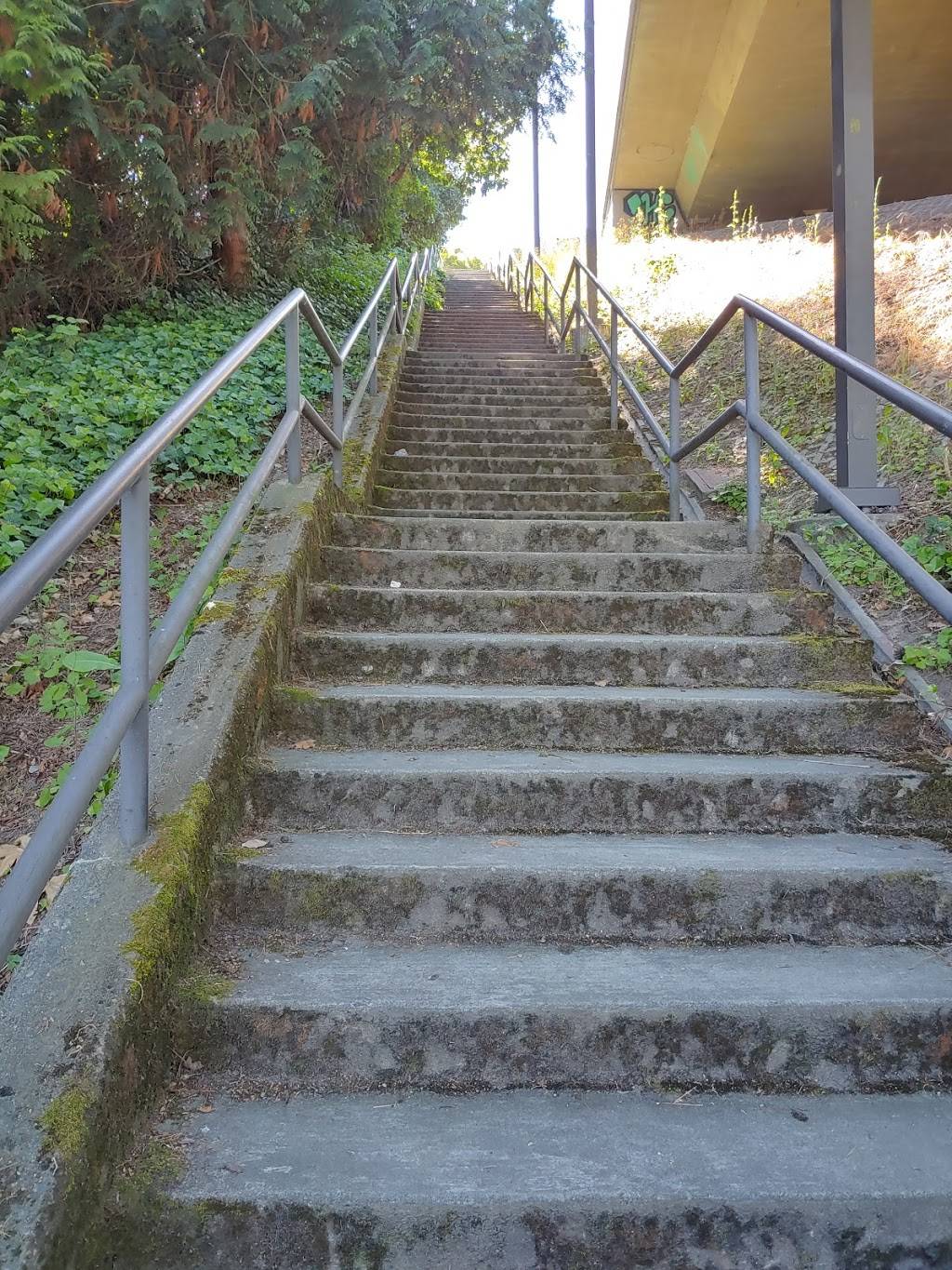 Day Street Boat Ramp (hand launch only) | 1402 Lakeside Ave S, Seattle, WA 98144, USA | Phone: (206) 684-7249