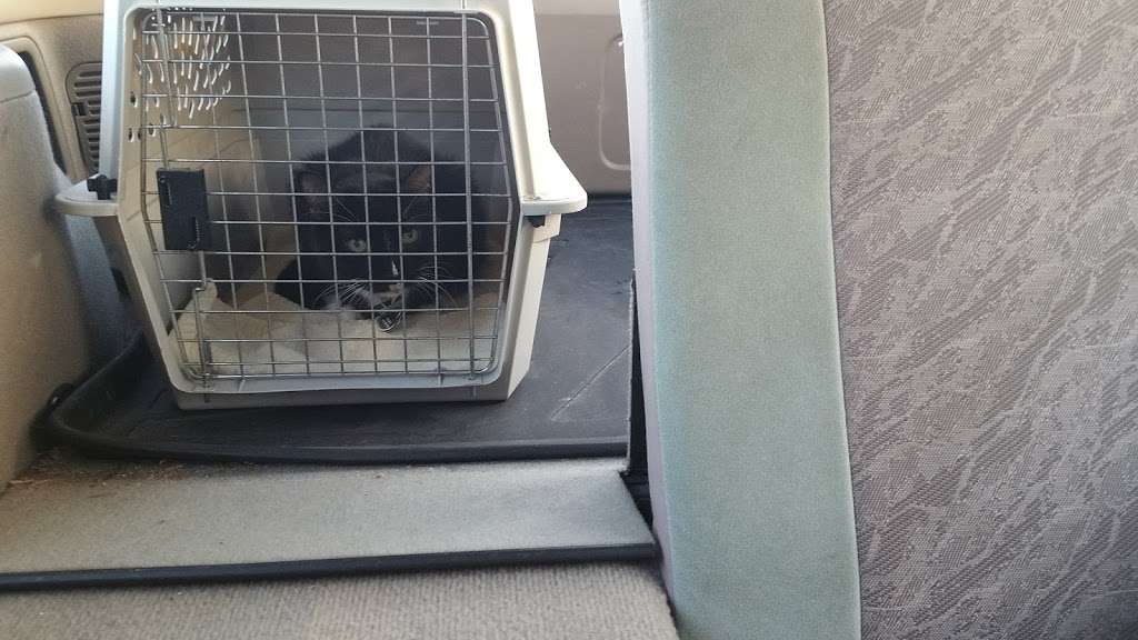 East Plano Murphy Pet Hospital | 627 FM 544, Murphy, TX 75094, USA | Phone: (972) 516-0717 East Plano Murphy Pet Hospital | 627 FM 544, Murphy, TX 75094, USA | Phone: (972) 516-0717